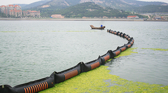 2008年7月，參加青島海域滸苔防治工作